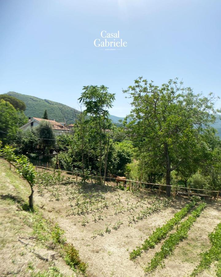 Villa Casal Gabriele Lettere Exterior foto