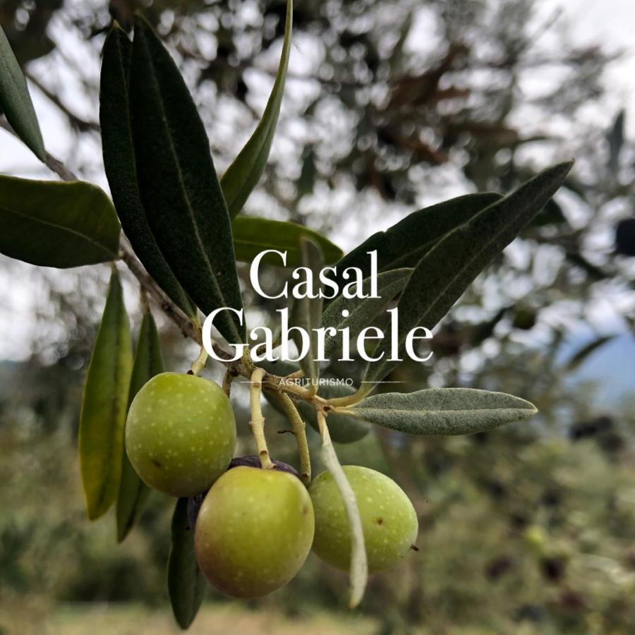 Villa Casal Gabriele Lettere Exterior foto